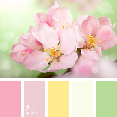 Розово-желтая весна