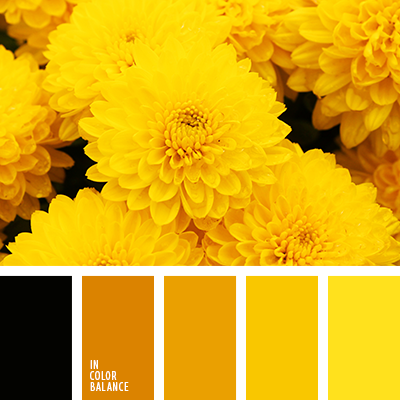 Medio Cornualles insalubre tonos anaranjados y amarillos | IN COLOR BALANCE