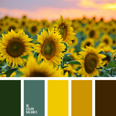 color girasol | IN COLOR BALANCE