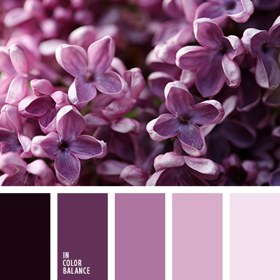 color violeta rosado | IN COLOR BALANCE