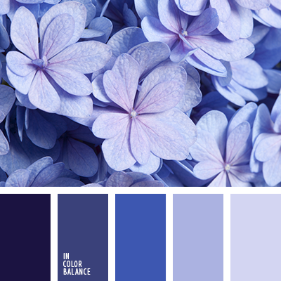 azul hortensia | IN COLOR BALANCE