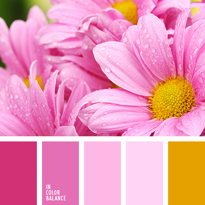 color rosa pastel | IN COLOR BALANCE