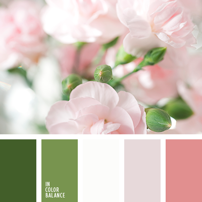 rosa pastel | IN COLOR BALANCE