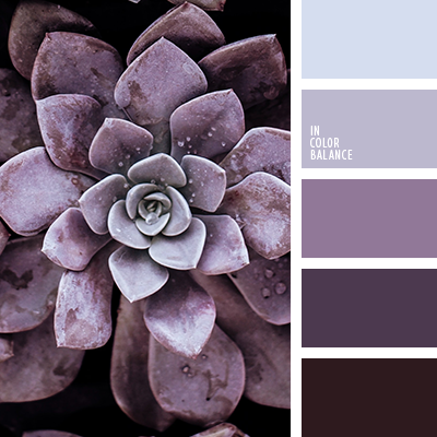 lila y violeta | IN COLOR BALANCE